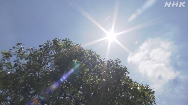 Das sommerliche Wetter hält in Tokio an und übersteigt am Donnerstag die 25-Grad-Marke