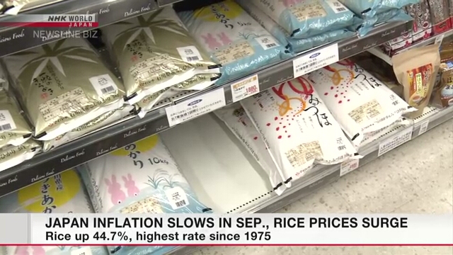 Die Inflation in Japan verlangsamt sich im September, die Reispreise steigen