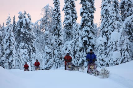 Eine Reihe von Hundeschlitten fährt durch dick verschneite Wälder in Lappland