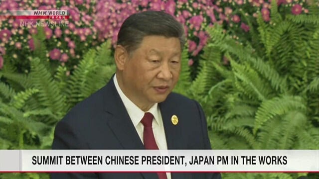 Chinas Präsident Xi wird an APEC und G20 teilnehmen und möglicherweise Gespräche mit dem japanischen Premierminister Ishiba führen