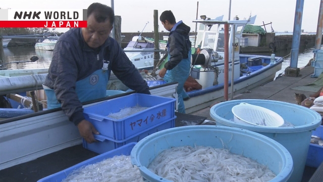 Japanisches Eisfischangeln in einem See in der Nähe von Tokio ist in vollem Gange