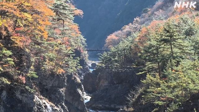 Touristen betrachten Herbstlaub in der Ryuokyo-Schlucht nördlich von Tokio