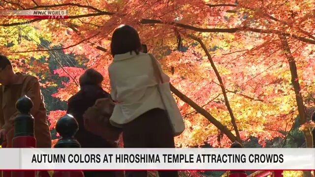 Besucher der Gegend Imakoyasan in Hiroshima genießen die Herbstfarben