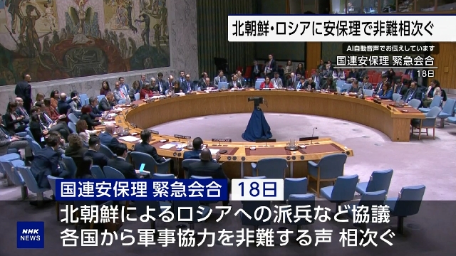 UN-Sicherheitsratsmitglieder kritisieren die militärische Zusammenarbeit zwischen Russland und Nordkorea