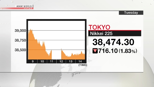 Nikkei 225 fällt, während Chip-Aktien einbrechen