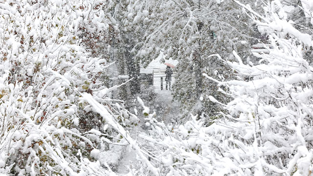 Die Regierung aktiviert angesichts starker Schneefälle keine Notfallsituation der Stufe 1