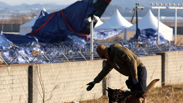 Das Parlament verabschiedet den Antrag zur Bildung eines Sonderausschusses zur Untersuchung des Flugzeugabsturzes von Jeju